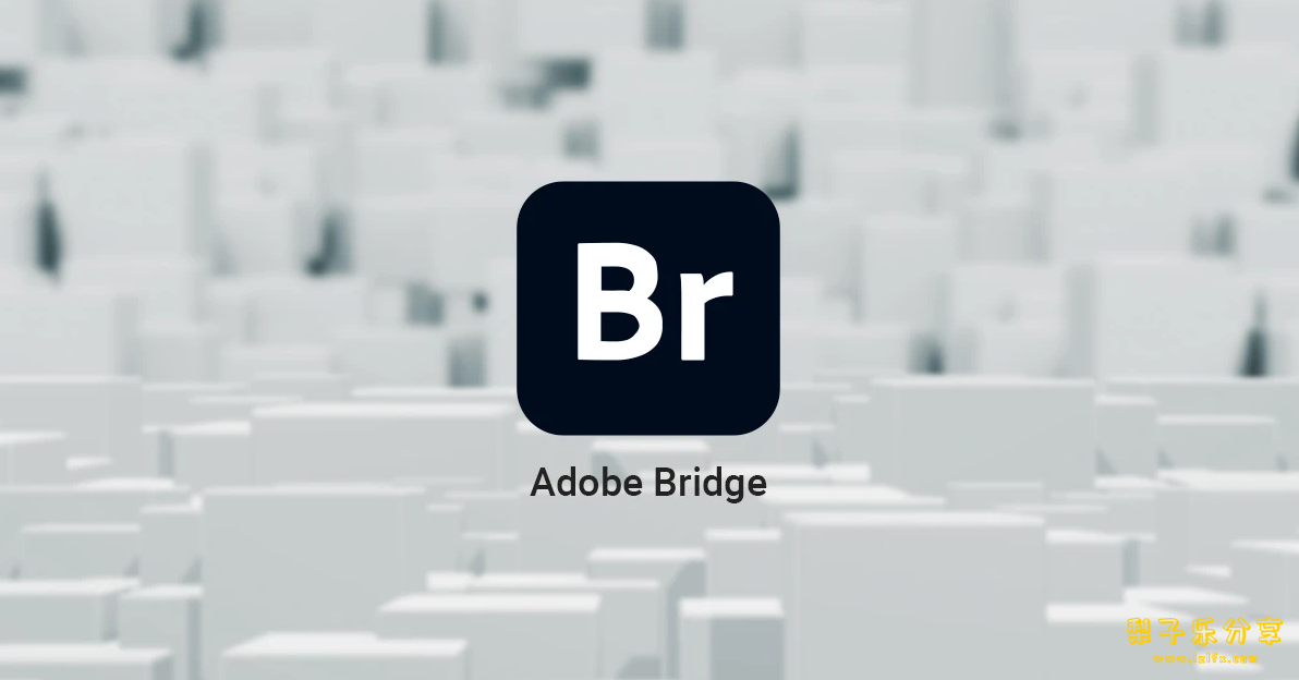 Adobe Bridge（组织工具程序）全套合集-梨子乐分享