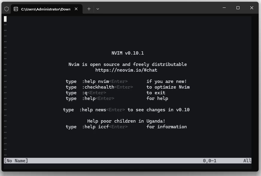 Neovim 文本编辑器 v0.10.2 中文免费绿色版-梨子乐分享