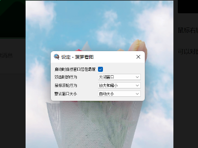 图片[1]-Pineapple Pictures(菠萝看图) v0.8.1  中文免费绿色版-梨子乐分享