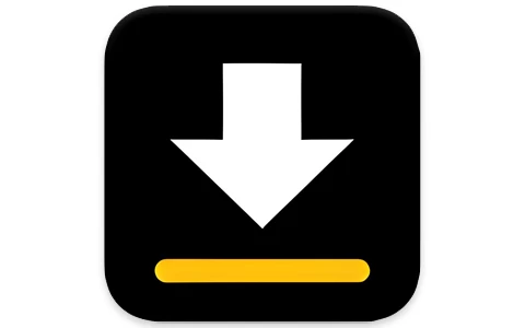 安卓APP-Video Downloader 视频下载器 v2.4.1 手机网页视频音乐下载神器-梨子乐分享