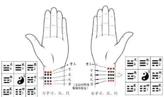 太素脉法入门教程 秘传脉法断人吉凶-梨子乐分享