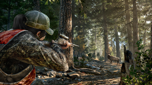 图片[8]-《Far Cry 5 孤岛惊魂5》v1.011 豪华中文版+全DLC|解压即撸|-梨子乐分享