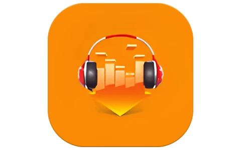 DLNow Video Downloader v1.54.2025.08.07  多语便携版-梨子乐分享
