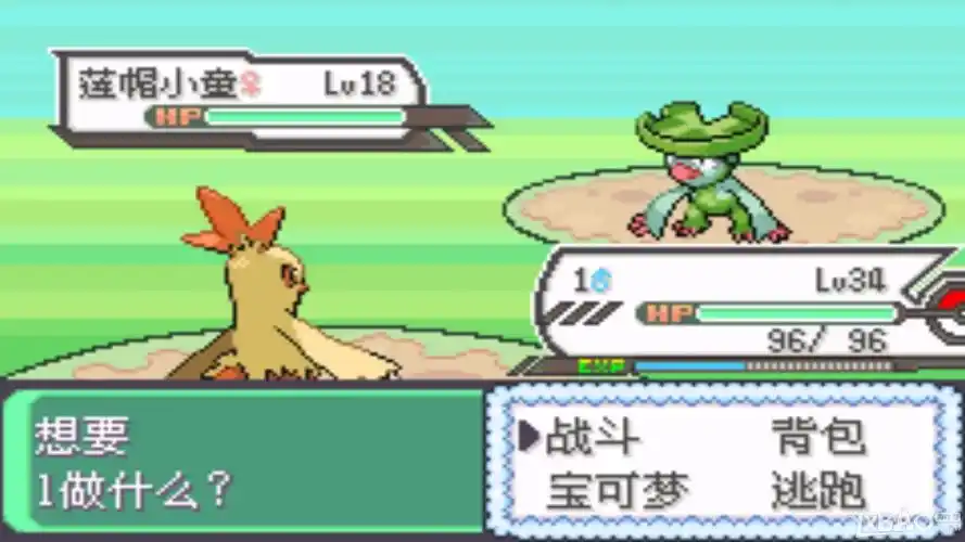 图片[2]-手机+PC端-《口袋妖怪：究极绿宝石》v5.5 原版+金手指版 免安装中文版-梨子乐分享