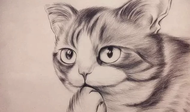 素描零基础直达四级课程-梨子乐分享