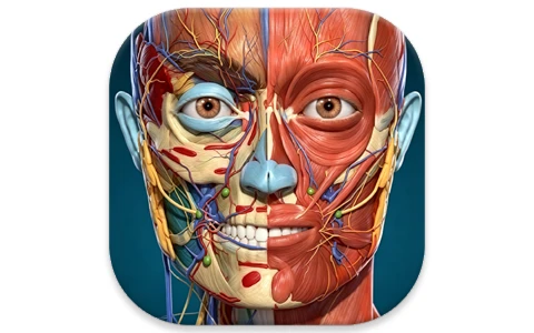 安卓APP-Anatomy Learning 3D解剖学图谱 v3.2.514 医学生必备学习专业软件 高级版-梨子乐分享