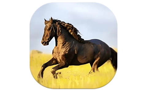 安卓TV-YourTV 你的电视TV v1.8.6 清爽版-梨子乐分享