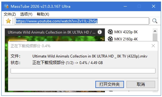 图片[1]-MassTube Ultra YouTube视频下载工具  v22.1.0.216 多语便携版-梨子乐分享