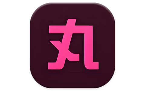 小丸工具箱 -梨子乐分享