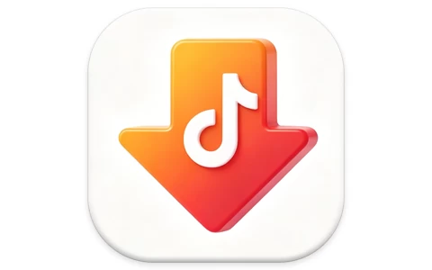 DY Video Downloader 抖音下载器 v0.0.9-梨子乐分享