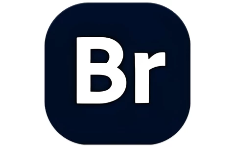 Adobe Bridge 2026 (16.0.6.9) 特别版-梨子乐分享